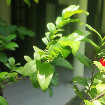 Airport Gateway Residence เนกอมโบ ภายนอก รูปภาพ